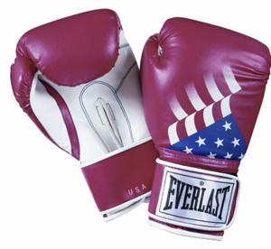USA Pro Style Boxing Gloves